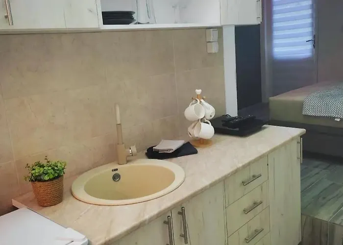 Boba Vrnjačka Banja